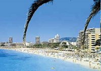 palma-de-mallorca